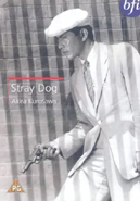Cover of Stray Dog - BFI